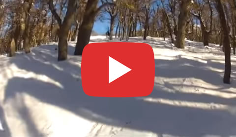 video-ski1